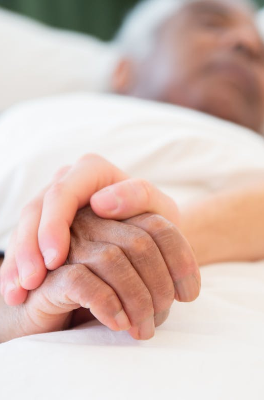 pexels photo 7551677.webp